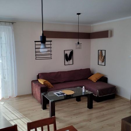 Green Apartment Z Bezplatnym Parkingiem Ольштын Экстерьер фото