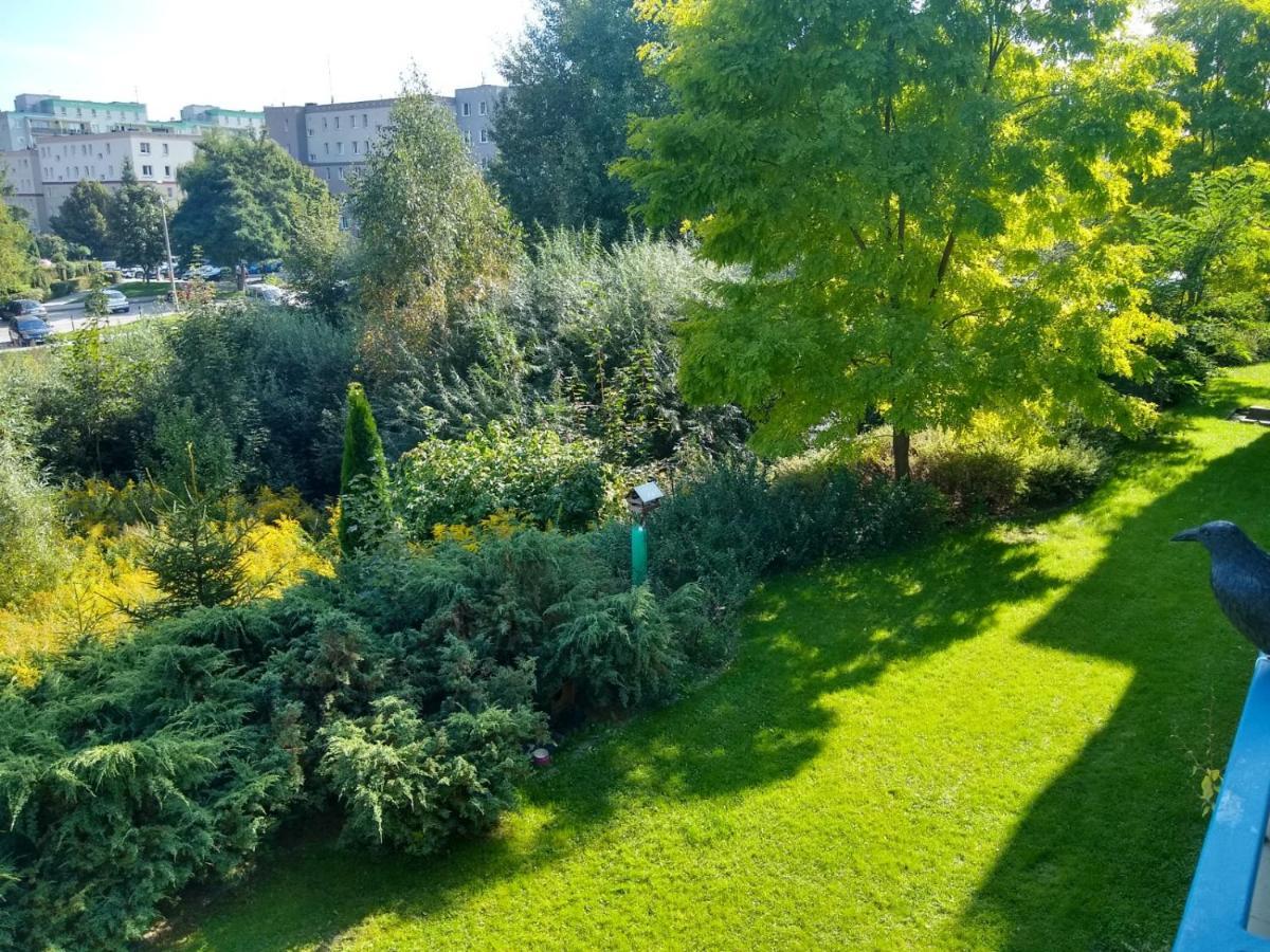 Green Apartment Z Bezplatnym Parkingiem Ольштын Экстерьер фото