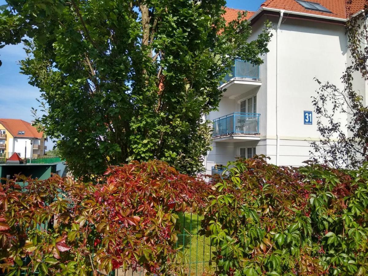 Green Apartment Z Bezplatnym Parkingiem Ольштын Экстерьер фото